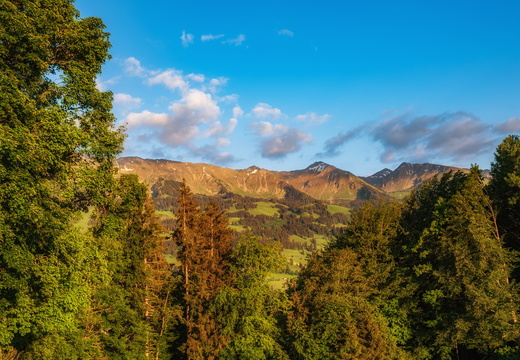 20200529-DSC 6946