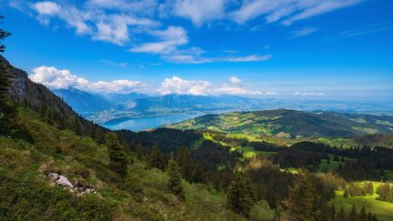20200530-DSC 7110