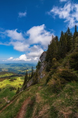 20200530-DSC 7154