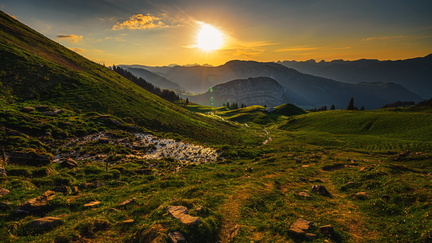 20200531-DSC 7466