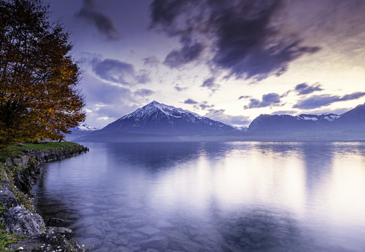 20191123NIKON D610edit-4938