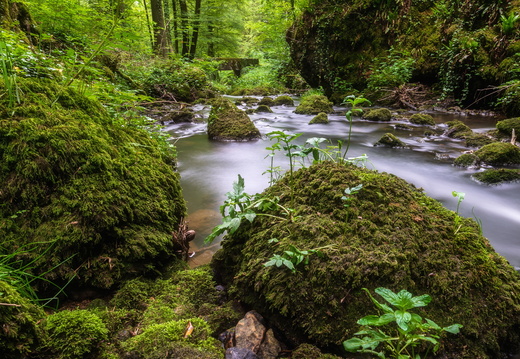 20180527-DSC 6629-Bearbeitet