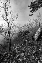 DSC 34384016 x 60165