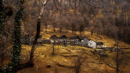 DSC 50665980 x 336455