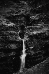 DSC 50884016 x 601658