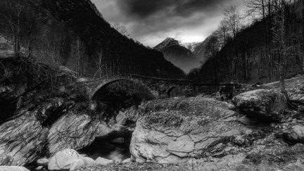 DSC 50985916 x 332860