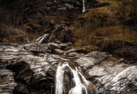 DSC 51044016 x 601662