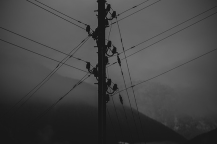 DSC 52816016 x 401674