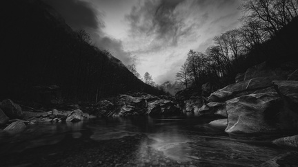 DSC 53736016 x 401690