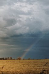 DSC 60053629 x 54361