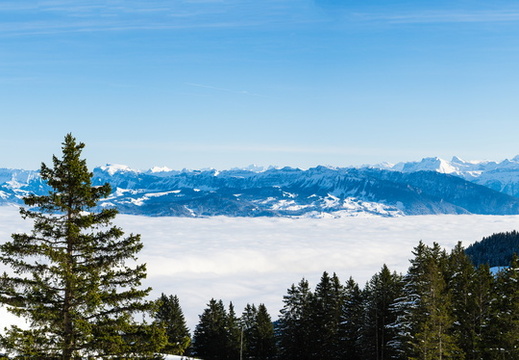 DSC 0843-Pano