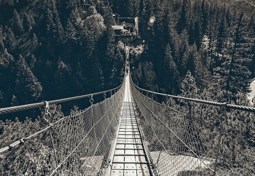 DSC 2340-Bearbeitet-2